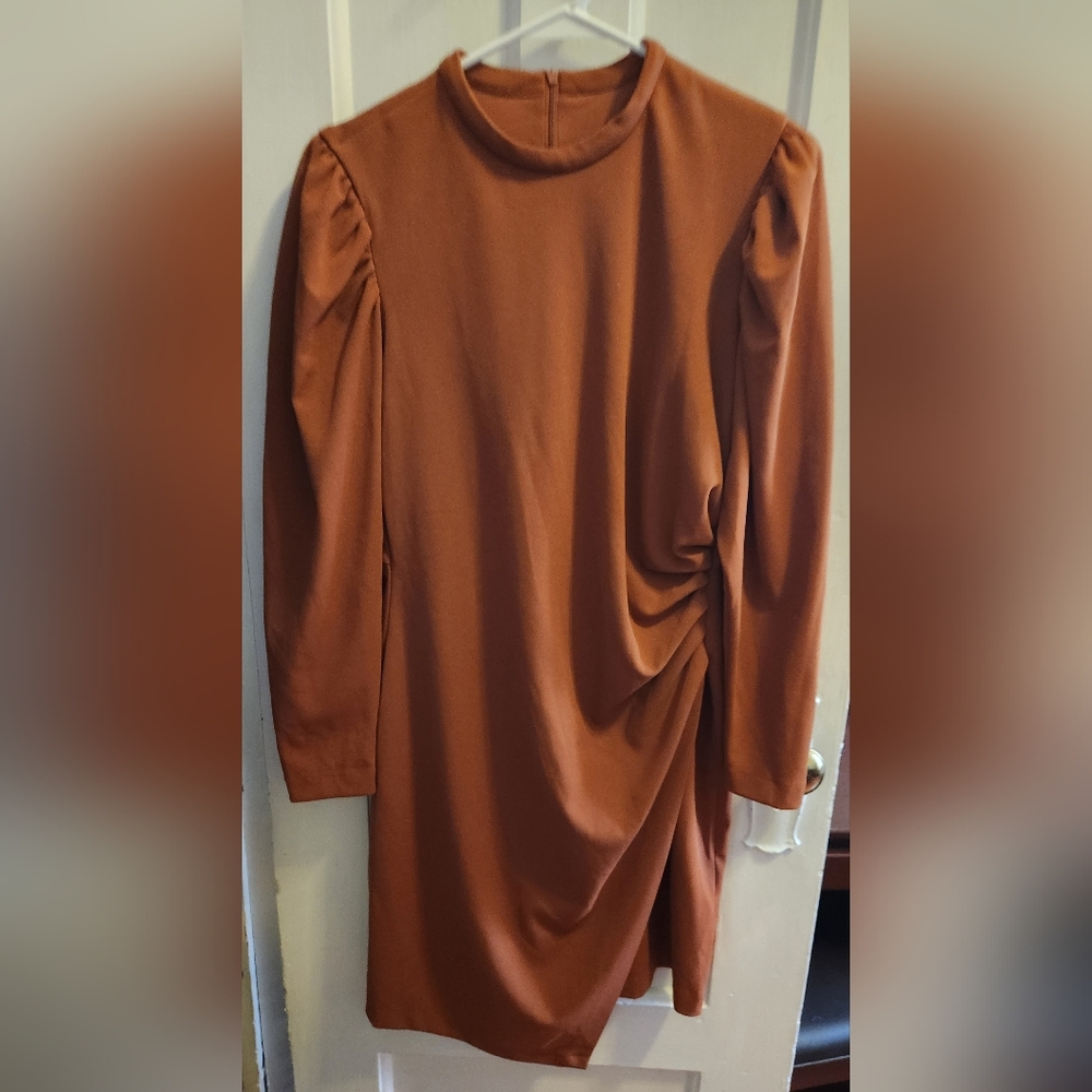 Elegant Rust Long Sleeve Dress